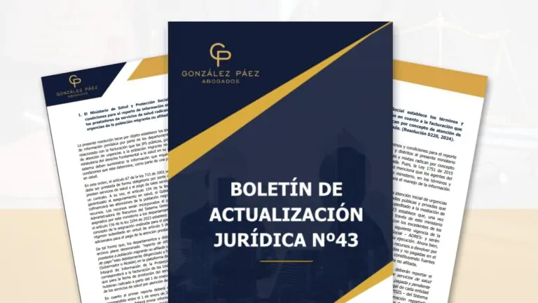 BOLETIN N43_DEST BLOG